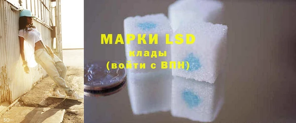 шишки Михайловск