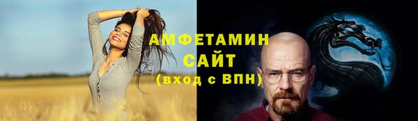 шишки Михайловск