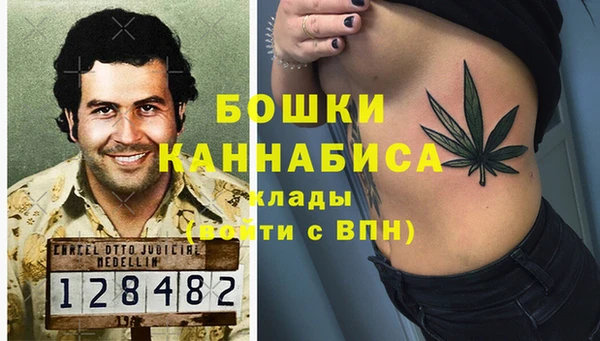 шишки Михайловск