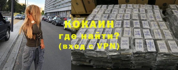 шишки Михайловск