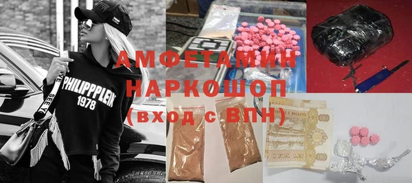 шишки Михайловск