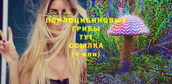 соль ск Михайловка
