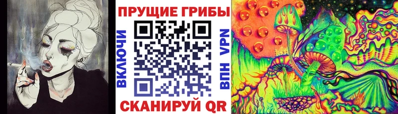 Купить  Ковров  Псилоцибиновые грибы Magic Shrooms 